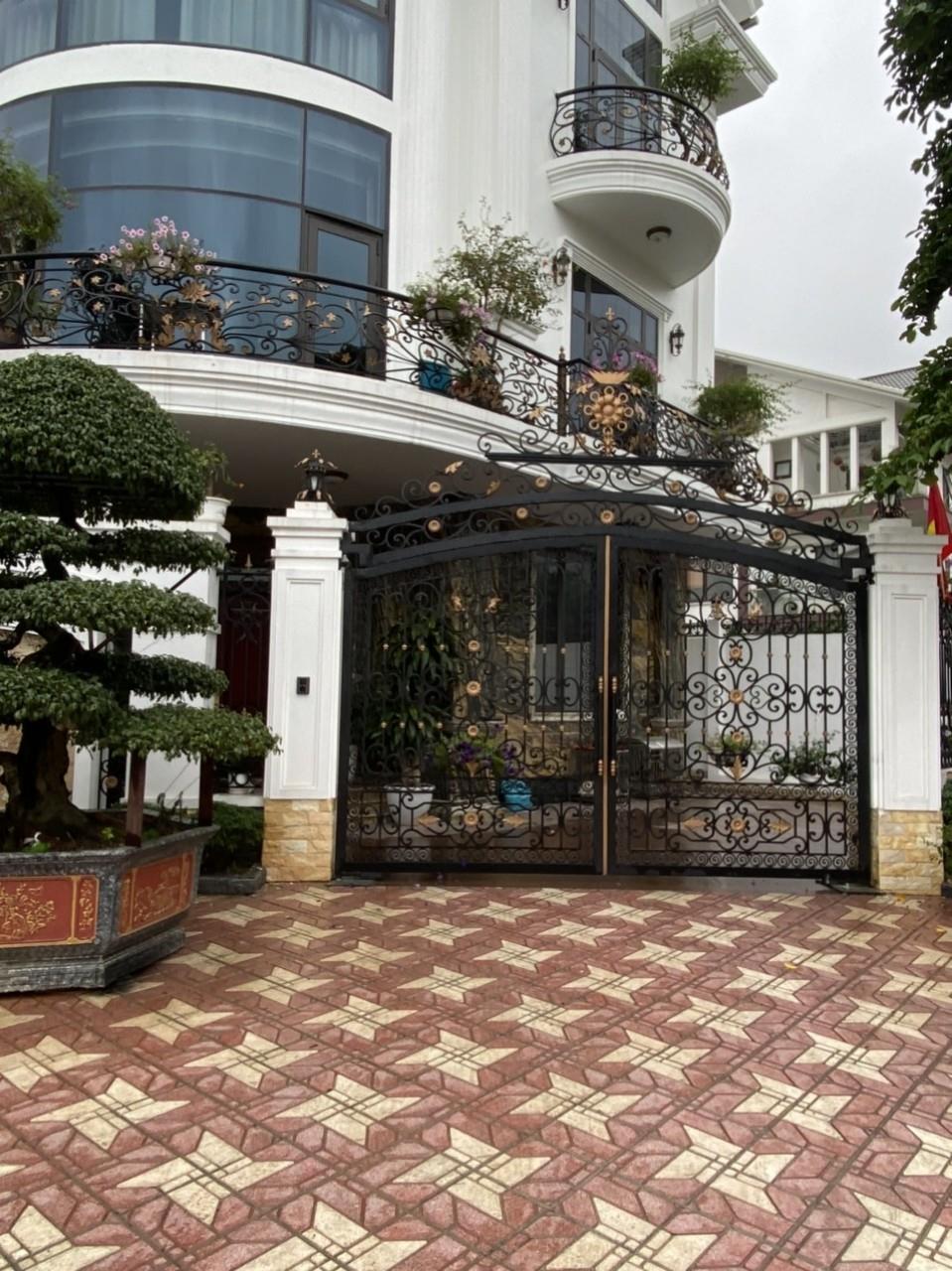 Cửa + Cổng Sắt Nghệ Thuật 031